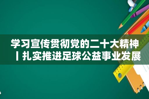 学习宣传贯彻党的二十大精神丨扎实推进足球公益事业发展