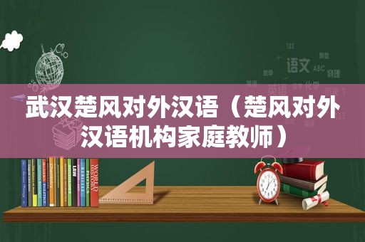 武汉楚风对外汉语（楚风对外汉语机构家庭教师）