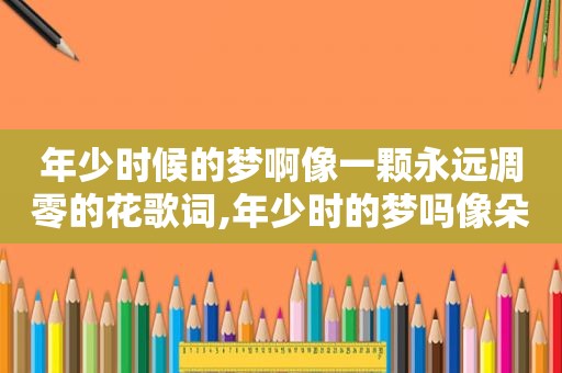 年少时候的梦啊像一颗永远凋零的花歌词,年少时的梦吗像朵永不凋零的花