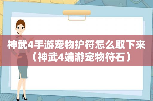 神武4手游宠物护符怎么取下来（神武4端游宠物符石）