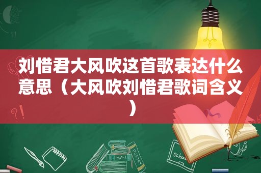 刘惜君大风吹这首歌表达什么意思（大风吹刘惜君歌词含义）