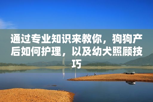 通过专业知识来教你，狗狗产后如何护理，以及幼犬照顾技巧