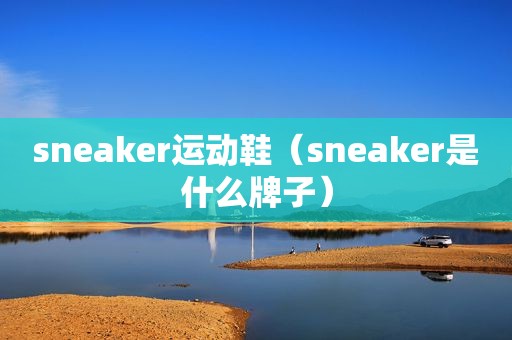 sneaker运动鞋（sneaker是什么牌子）