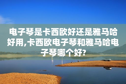 电子琴是卡西欧好还是雅马哈好用,卡西欧电子琴和雅马哈电子琴哪个好?