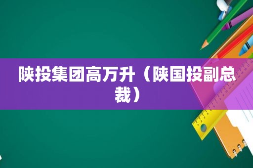 陕投集团高万升（陕国投副总裁）