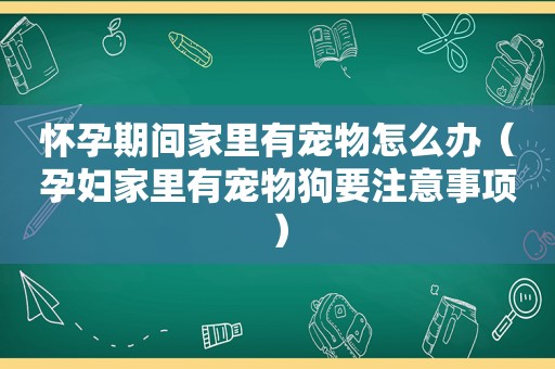 怀孕期间家里有宠物怎么办（孕妇家里有宠物狗要注意事项）