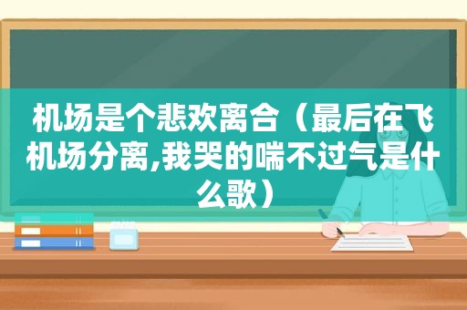 机场是个悲欢离合（最后在飞机场分离,我哭的喘不过气是什么歌）