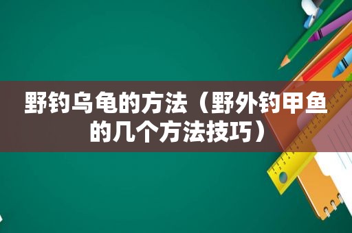 野钓乌龟的方法（野外钓甲鱼的几个方法技巧）