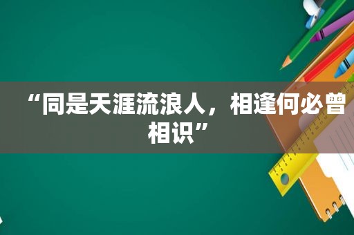 “同是天涯流浪人，相逢何必曾相识”