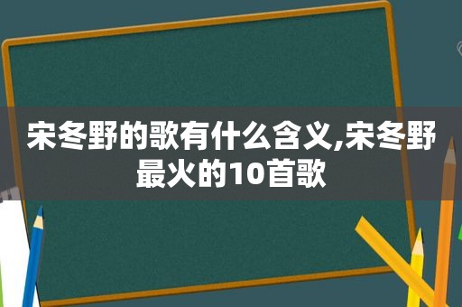 宋冬野的歌有什么含义,宋冬野最火的10首歌