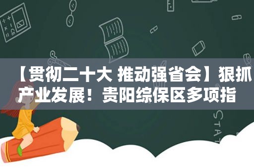 【贯彻二十大 推动强省会】狠抓产业发展！贵阳综保区多项指标增速排名全市第一