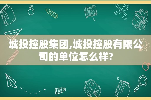 城投控股集团,城投控股有限公司的单位怎么样?