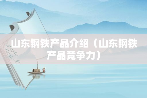 山东钢铁产品介绍（山东钢铁产品竞争力）