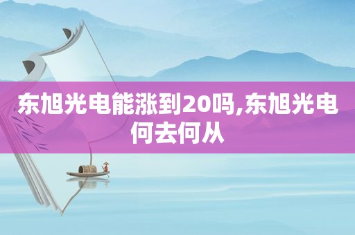 东旭光电能涨到20吗,东旭光电何去何从