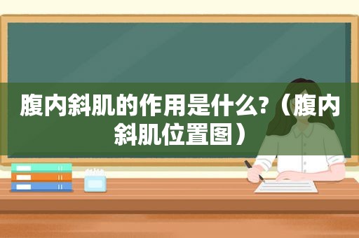 腹内斜肌的作用是什么?（腹内斜肌位置图）