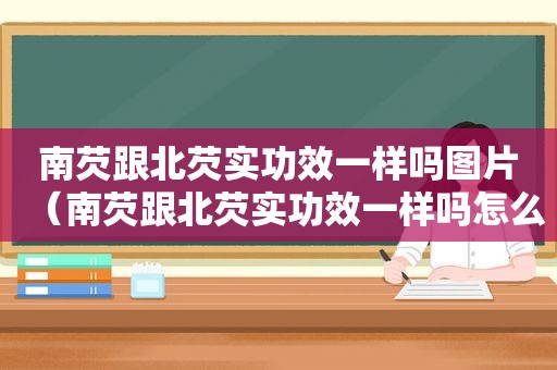 南芡跟北芡实功效一样吗图片（南芡跟北芡实功效一样吗怎么吃）