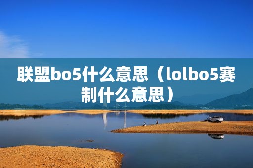 联盟bo5什么意思（lolbo5赛制什么意思）