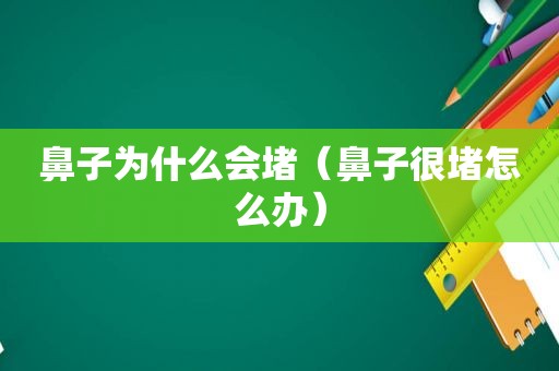 鼻子为什么会堵（鼻子很堵怎么办）