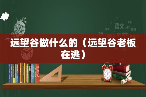 远望谷做什么的（远望谷老板在逃）