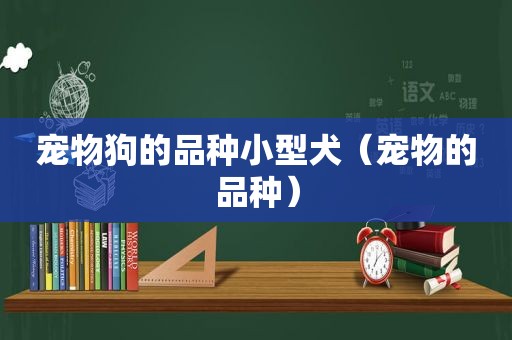 宠物狗的品种小型犬（宠物的品种）