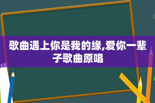 歌曲遇上你是我的缘,爱你一辈子歌曲原唱