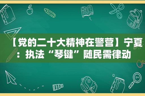 【党的二十大精神在警营】宁夏：执法“琴键”随民需律动