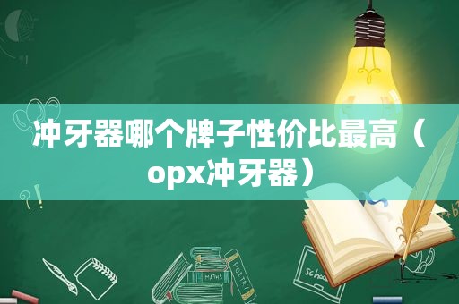 冲牙器哪个牌子性价比最高（opx冲牙器）