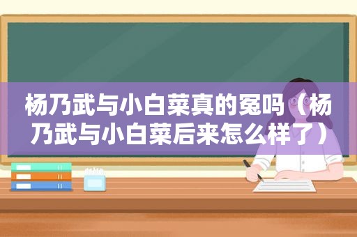 杨乃武与小白菜真的冤吗（杨乃武与小白菜后来怎么样了）