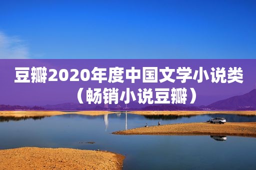 豆瓣2020年度中国文学小说类（畅销小说豆瓣）