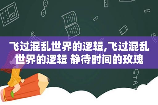 飞过混乱世界的逻辑,飞过混乱世界的逻辑 静待时间的玫瑰