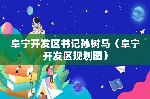 阜宁开发区书记孙树马（阜宁开发区规划图）