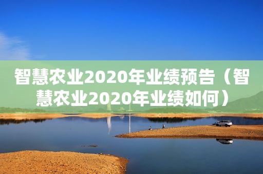 智慧农业2020年业绩预告（智慧农业2020年业绩如何）