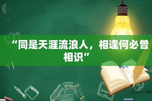 “同是天涯流浪人，相逢何必曾相识”