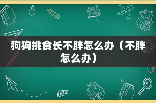 狗狗挑食长不胖怎么办（不胖怎么办）