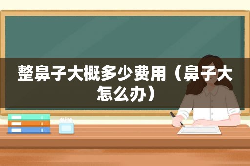 整鼻子大概多少费用（鼻子大怎么办）