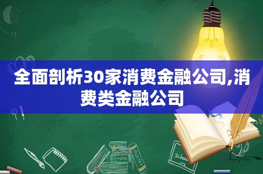 全面剖析30家消费金融公司,消费类金融公司