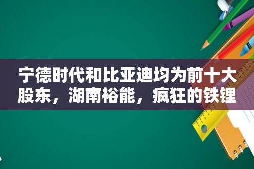 宁德时代和比亚迪均为前十大股东，湖南裕能，疯狂的铁锂正极龙头