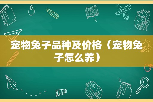 宠物兔子品种及价格（宠物兔子怎么养）