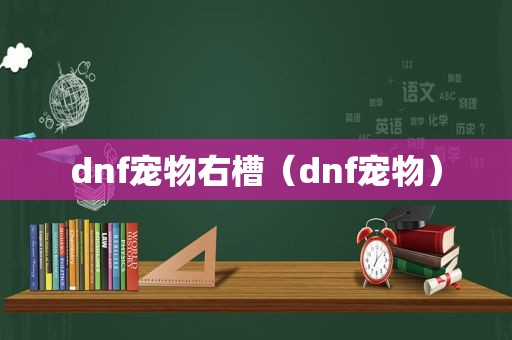 dnf宠物右槽（dnf宠物）