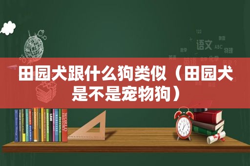 田园犬跟什么狗类似（田园犬是不是宠物狗）