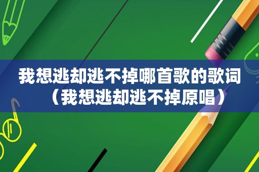 我想逃却逃不掉哪首歌的歌词（我想逃却逃不掉原唱）