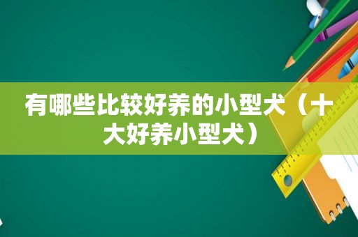 有哪些比较好养的小型犬（十大好养小型犬）