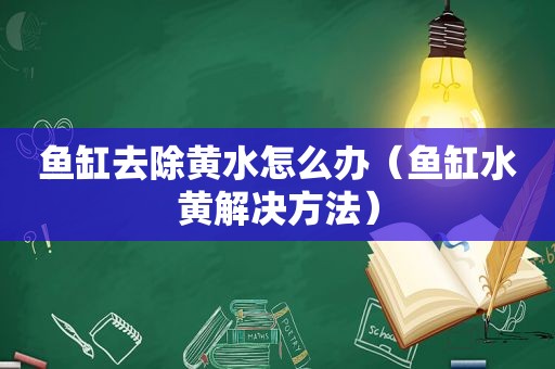 鱼缸去除黄水怎么办（鱼缸水黄解决方法）