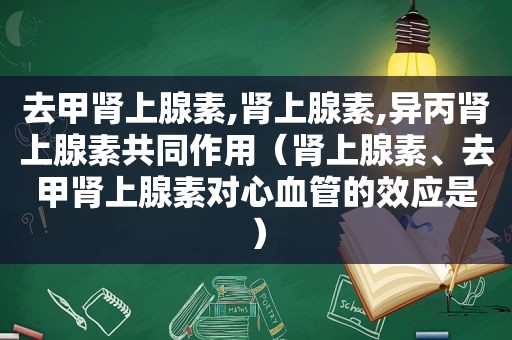 去甲肾上腺素,肾上腺素,异丙肾上腺素共同作用（肾上腺素、去甲肾上腺素对心血管的效应是）