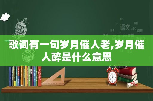 歌词有一句岁月催人老,岁月催人醉是什么意思