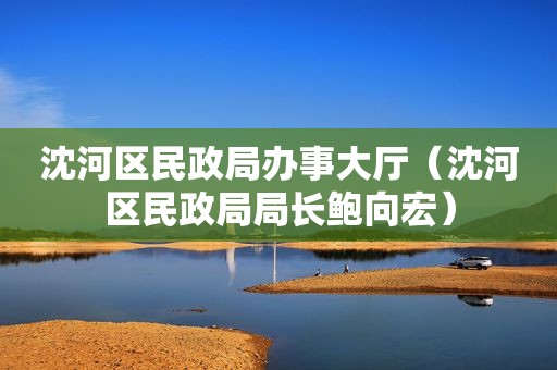 沈河区民政局办事大厅（沈河区民政局局长鲍向宏）