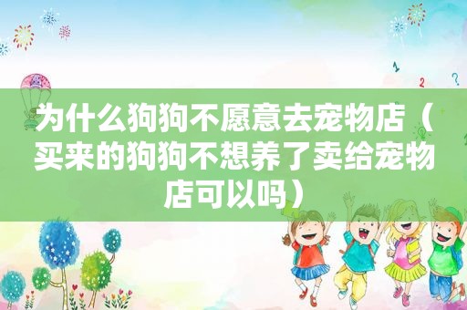 为什么狗狗不愿意去宠物店（买来的狗狗不想养了卖给宠物店可以吗）