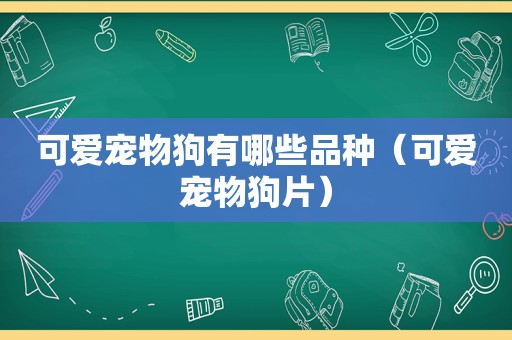 可爱宠物狗有哪些品种（可爱宠物狗片）