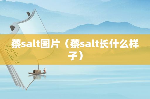 蔡salt图片（蔡salt长什么样子）