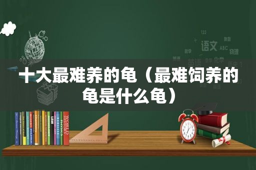 十大最难养的龟（最难饲养的龟是什么龟）